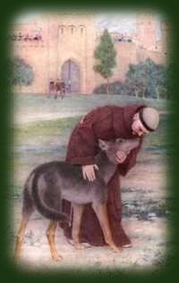 Humane Society of the United States: St. Francis of Assisi, Patron Saint of  Animals | Wellness Advocates Support the Puppy Doe Reward Fund